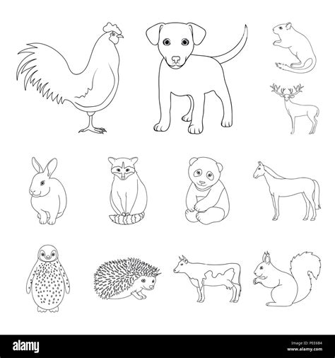 domestic animals clipart|outline picture of domestic animal.